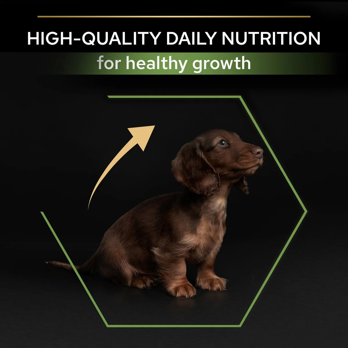 Pro Plan Small & Mini Puppy with Healthy start – Rich in Chicken 3KG