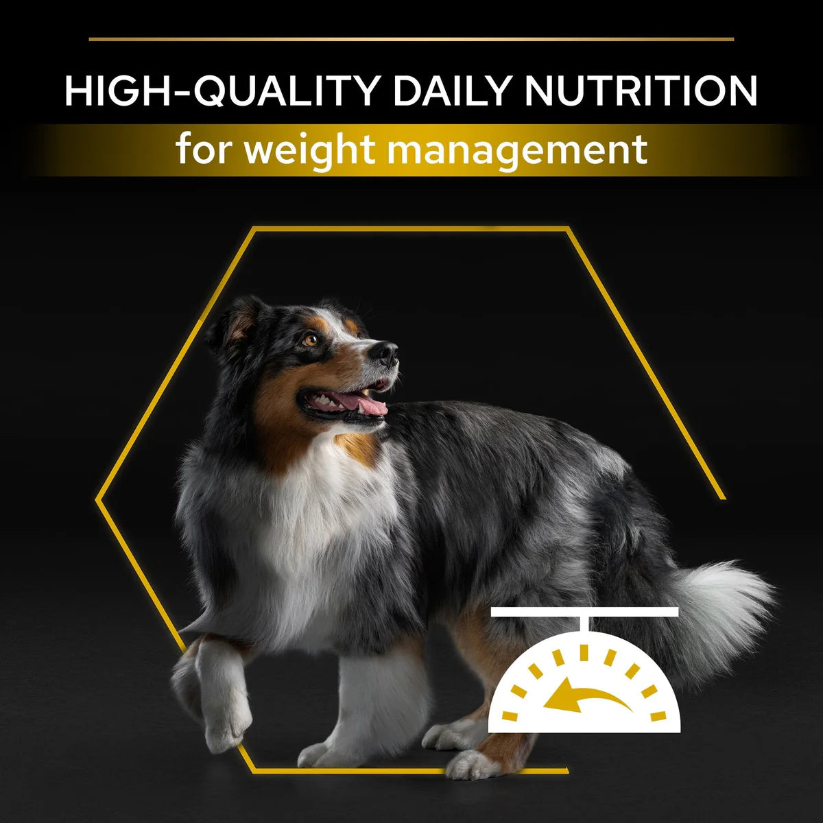 PURINA Pro Plan All Sizes Adult Light Sterilised with OPTIWEIGHT Rich in Chicken Dry Dog Food 14 KG