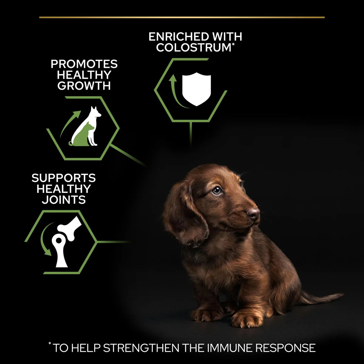 Pro Plan Small & Mini Puppy with Healthy start – Rich in Chicken 3KG