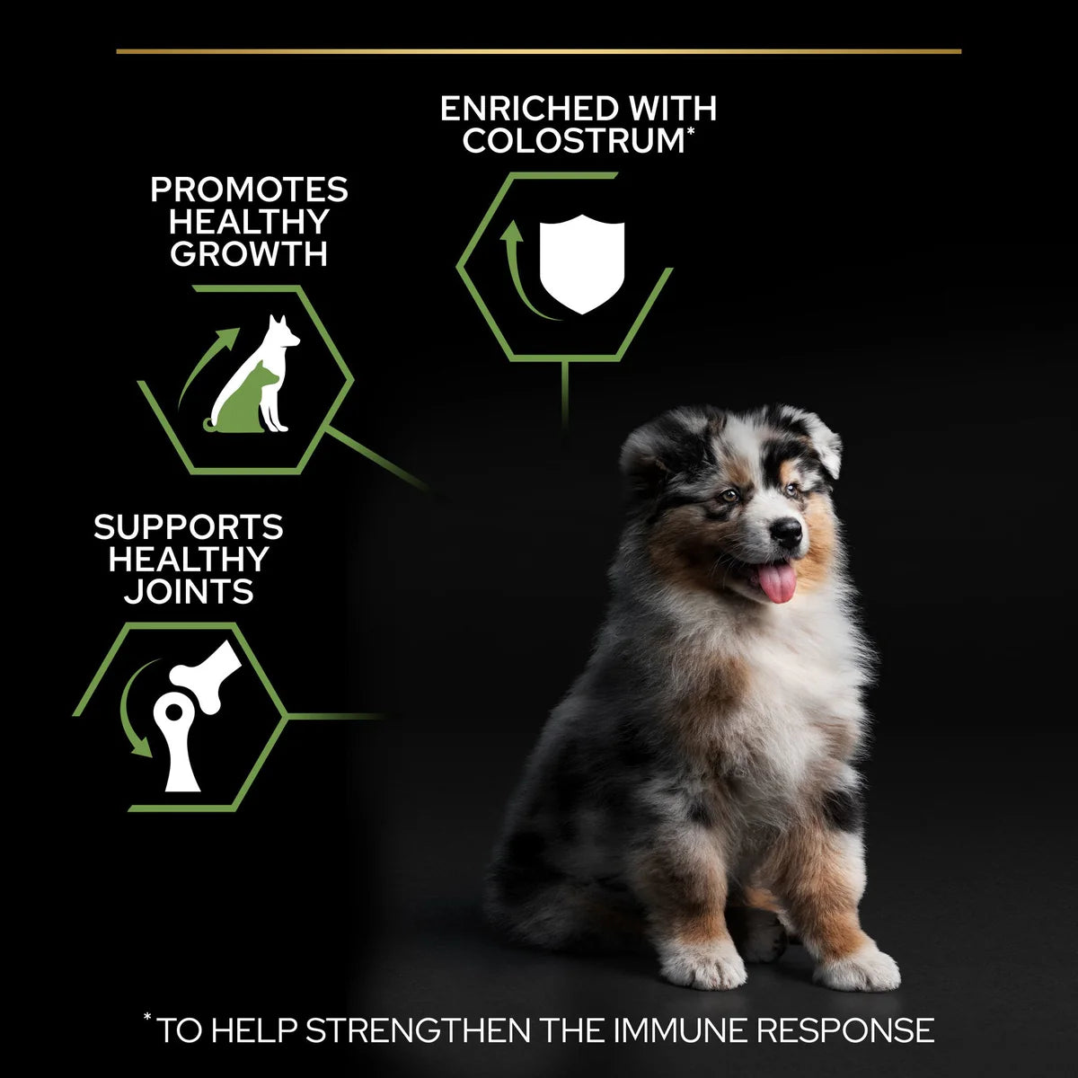 Purina Pro Plan Medium Puppy with Chicken – 12kg