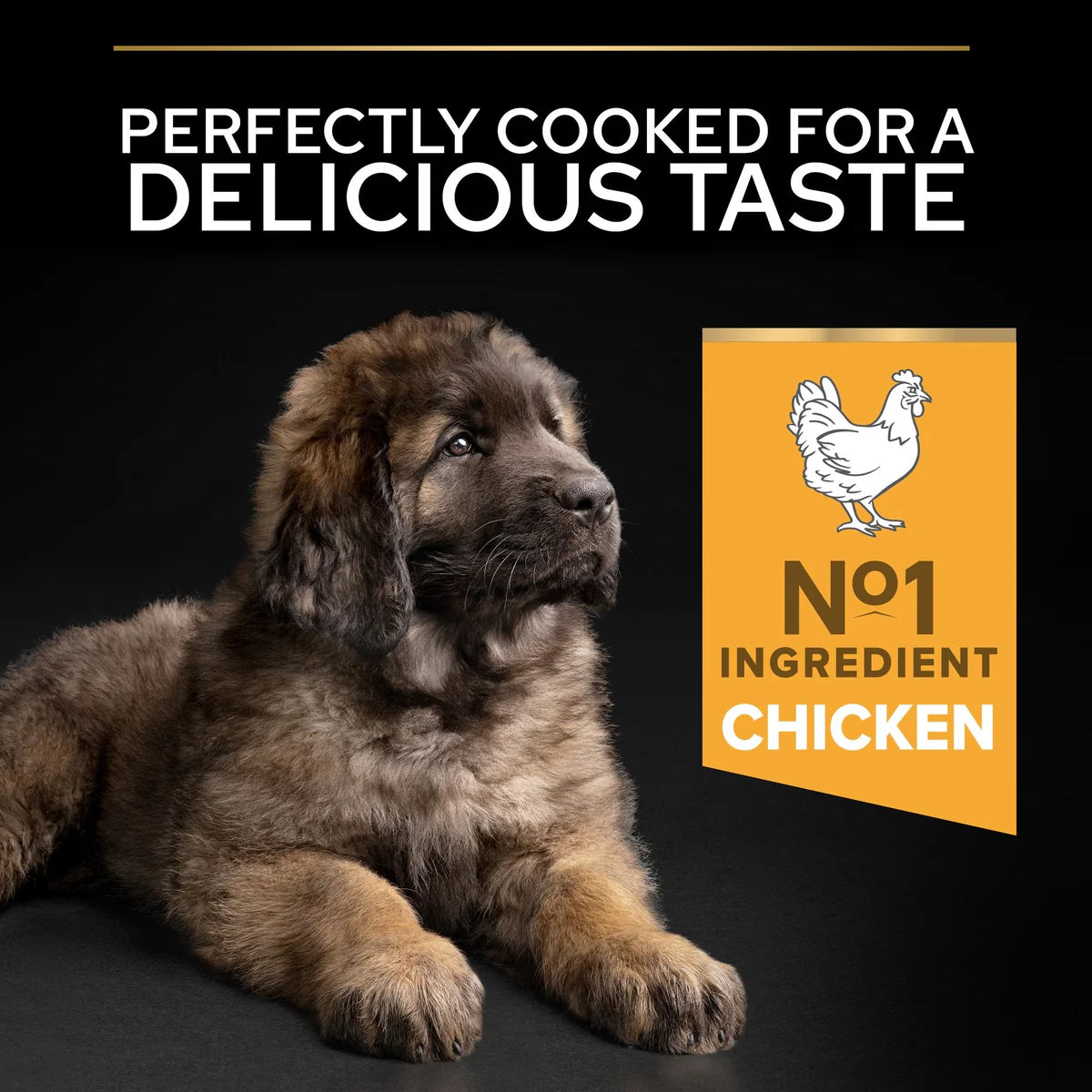 Purina Pro Plan Large Puppy Robust With Optistart Rich In Chicken 12kg