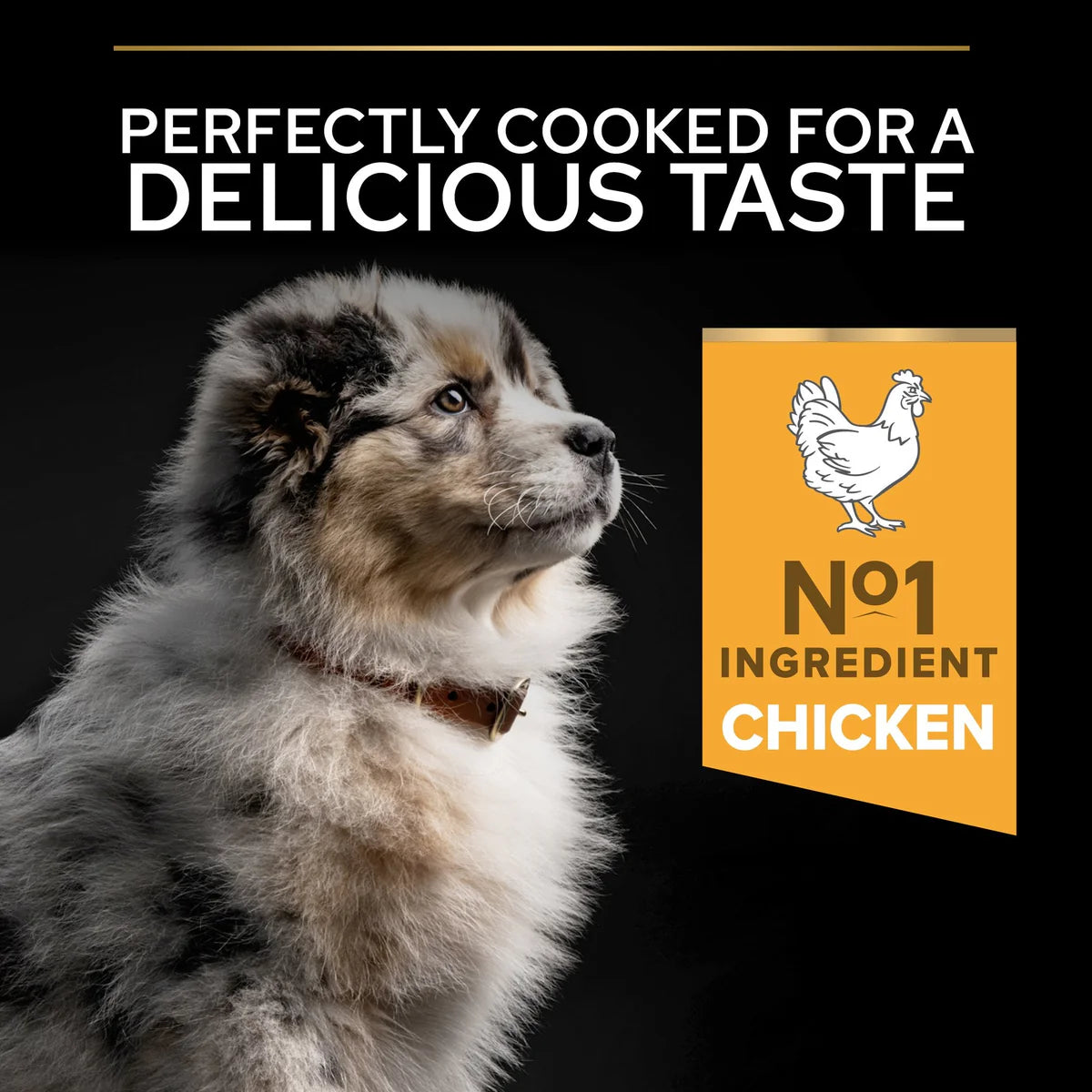 Purina Pro Plan Medium Puppy with Chicken – 12kg