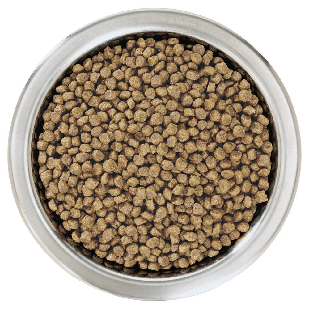 Pro Plan Small & Mini Puppy with Healthy start – Rich in Chicken 3KG