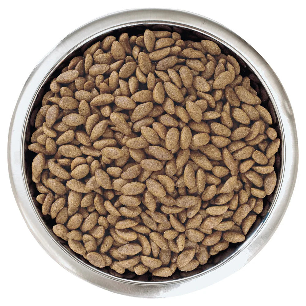 Purina Pro Plan Medium Adult Dry Dog Food โ 3kg