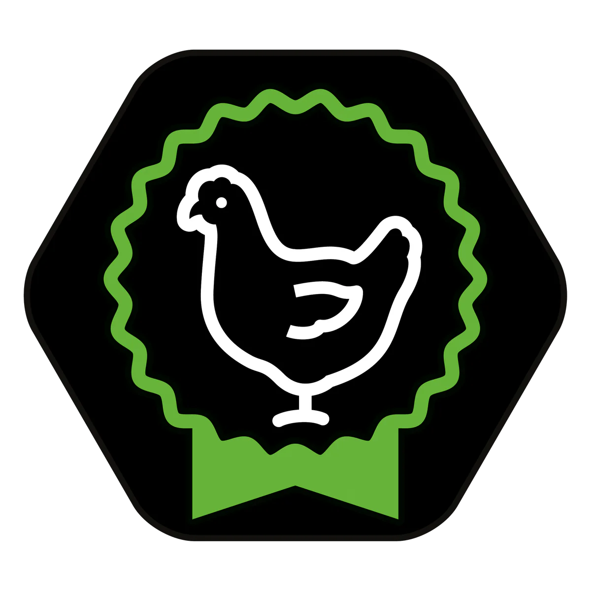 Purina Pro Plan Medium Puppy with Chicken – 12kg