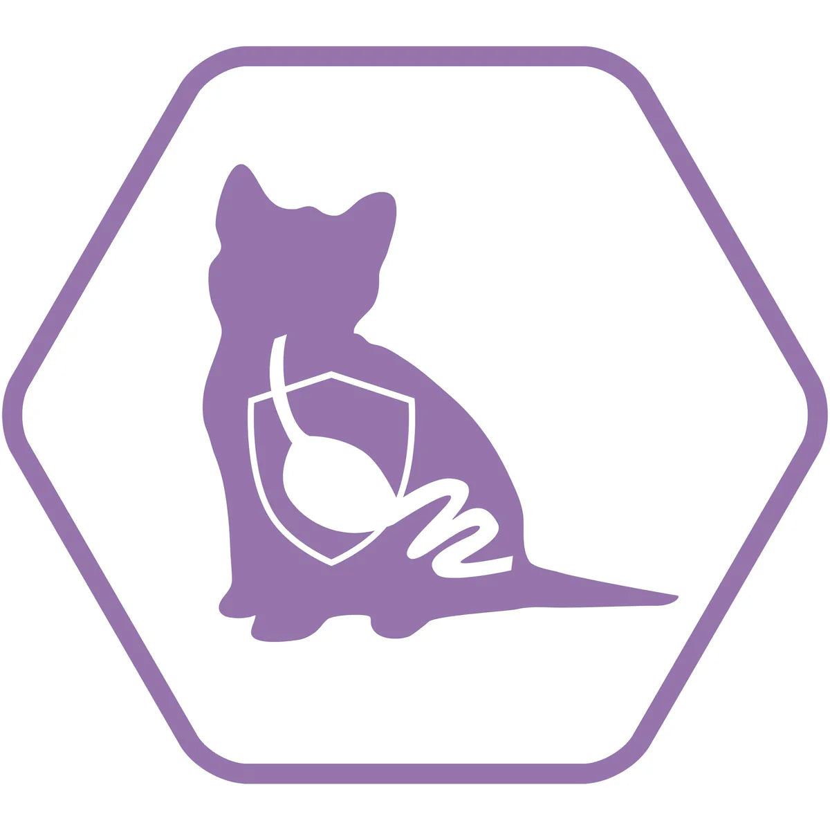 Purina Pro Plan Healthy Start Kitten Dry Food 1.5Kg