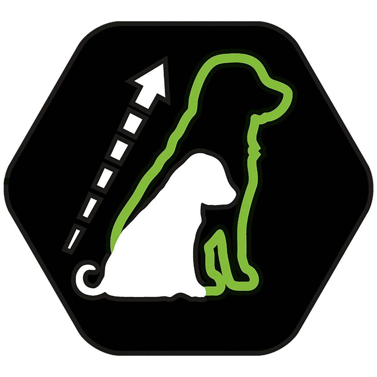 Pro Plan Small & Mini Puppy with Healthy start – Rich in Chicken 3KG