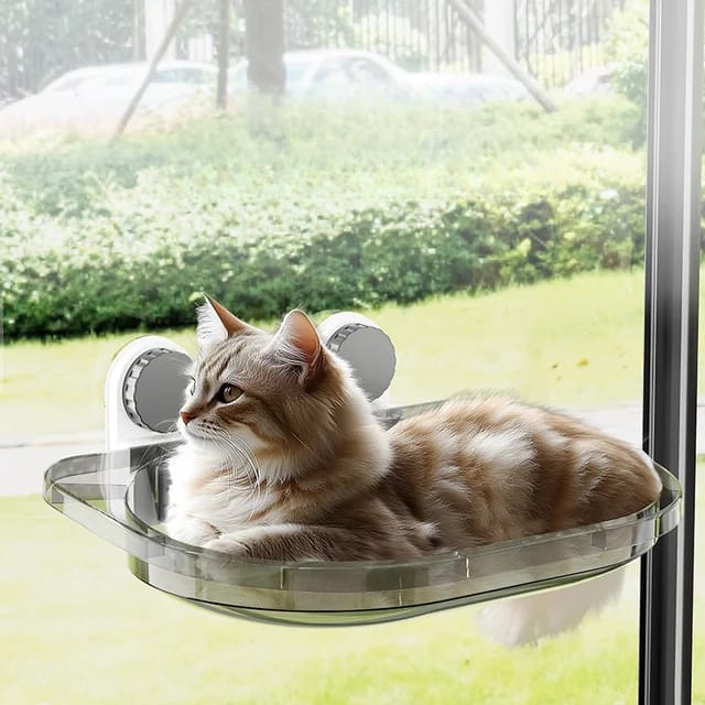 cat window 35*50