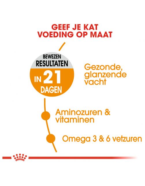 Royal Canin Hair & Skin Care Cat Dry Food 4Kg