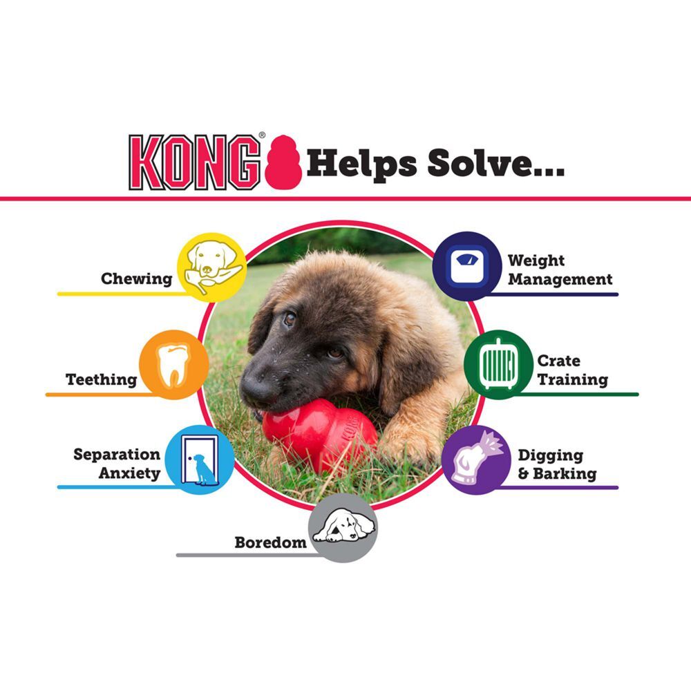 KONG Classic Large