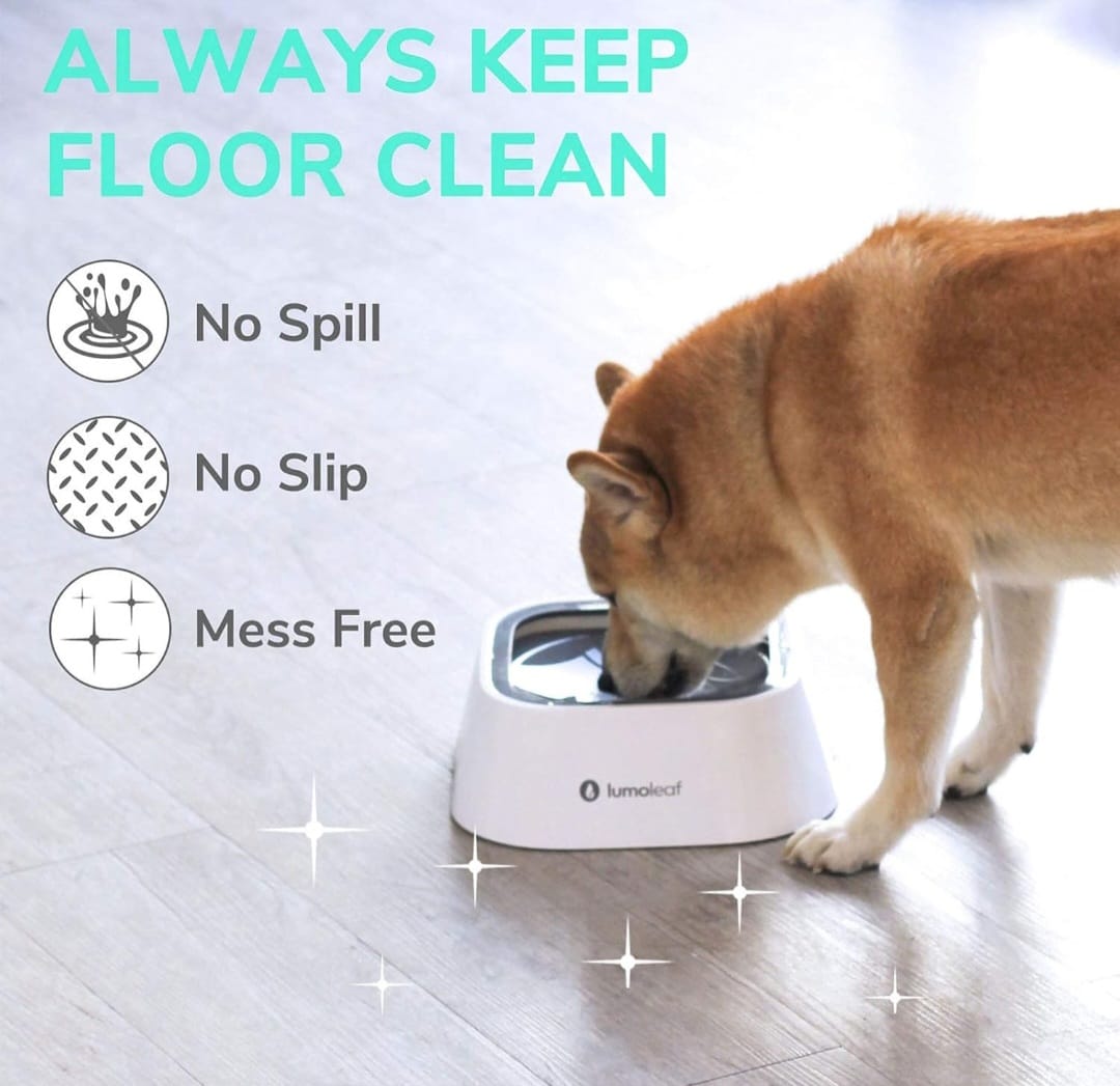 Non Spill Water Bowl
