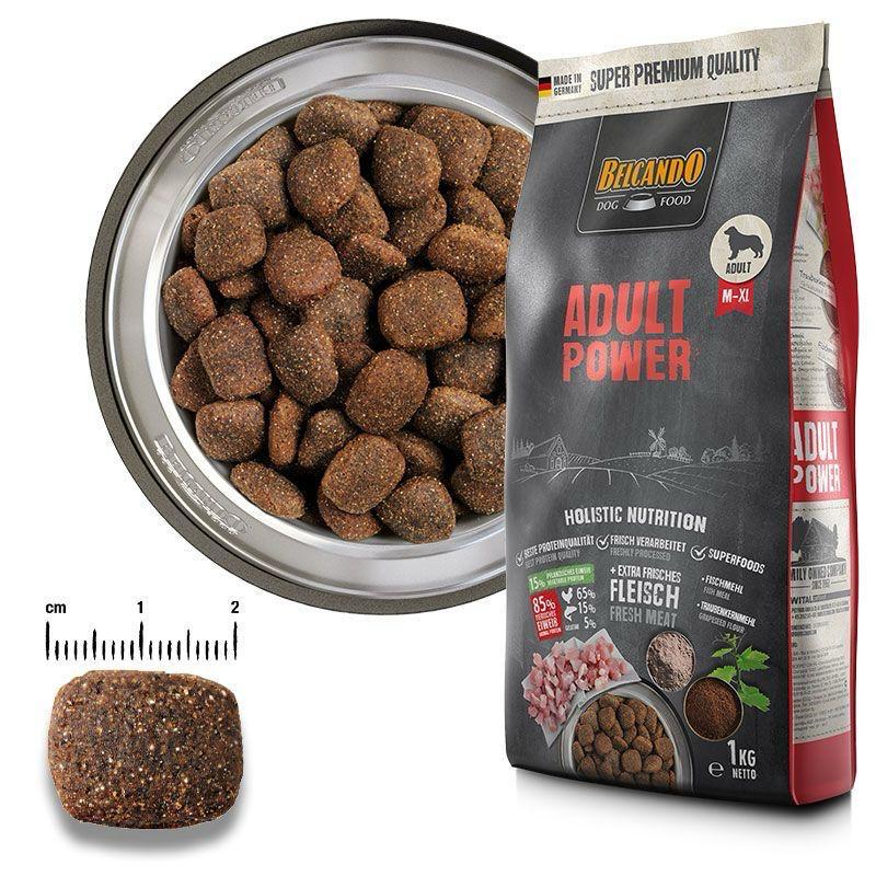 Belcando Adult Power12.5kg