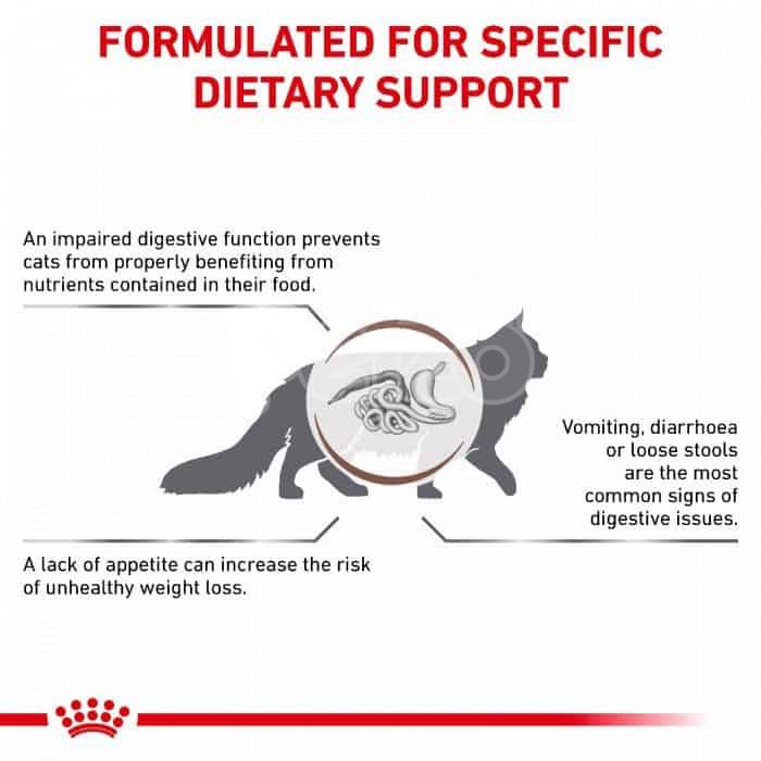 Royal Canin Cat Dry Food Gastrointestinal 2kg