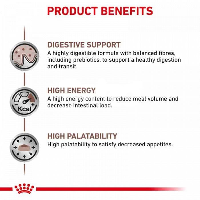 Royal Canin Cat Dry Food Gastrointestinal 2kg