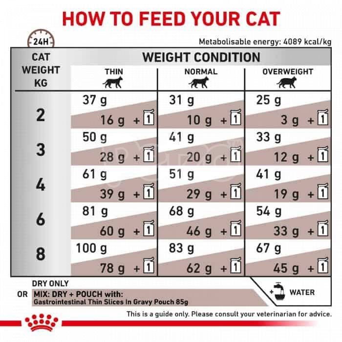 Royal Canin Cat Dry Food Gastrointestinal 2kg