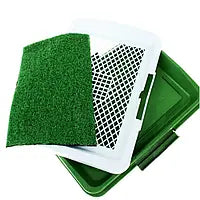Puppy potty pad training
