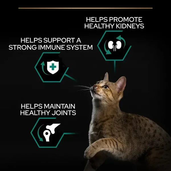 Purina Pro Plan Cat Dry Food Adult Renal Plus – 1.5kg