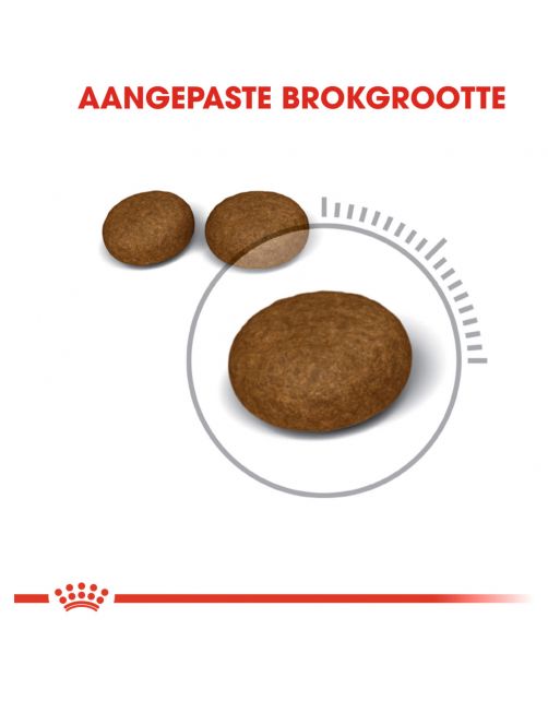 Royal Canin Hair & Skin Care Cat Dry Food 400g