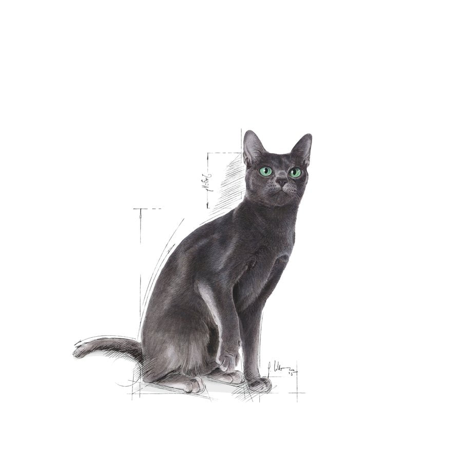 Royal Canin Sterilised 37 Cat Dry Food 2Kg