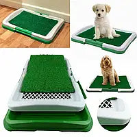 Puppy potty pad training