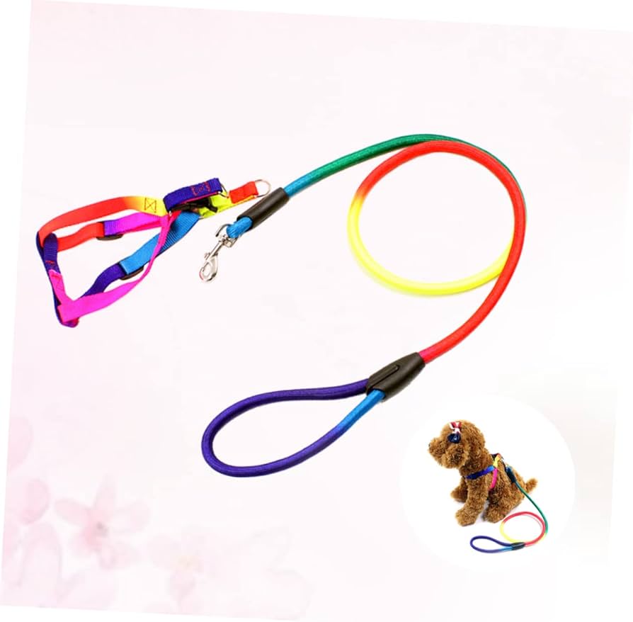 Pet Harness and Leash – Small