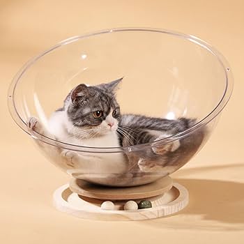Transparent cat house with wood turntable