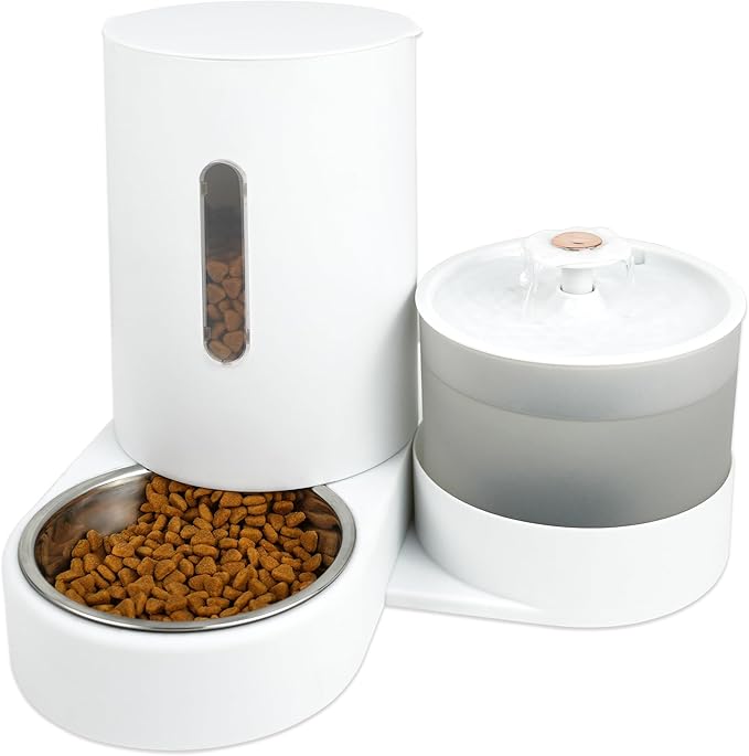 Food tank with water Fountain