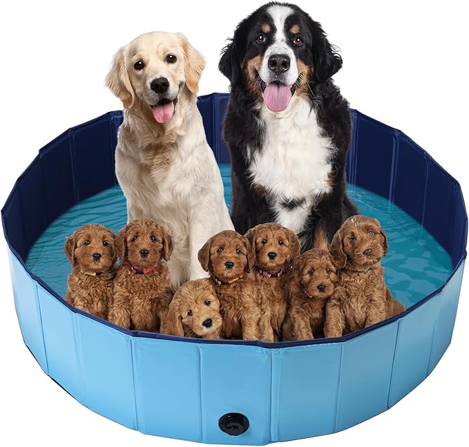 Pet Splash Pool – Large (180cm)