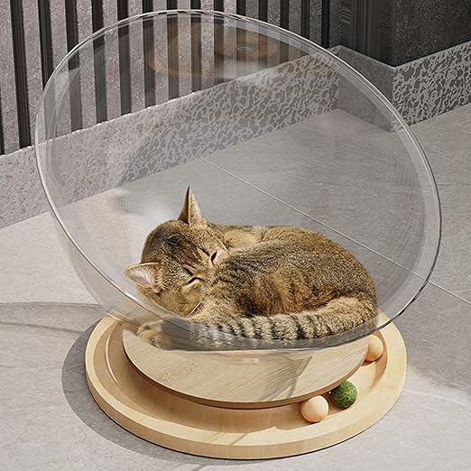 Transparent cat house with wood turntable