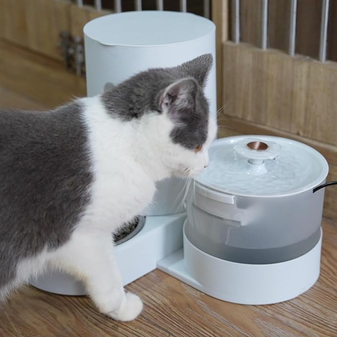 Food tank with water Fountain