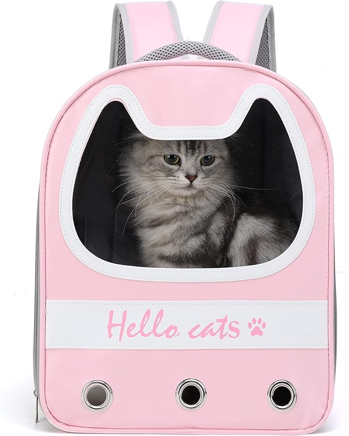 حقيبة مرحبا بالقطط
