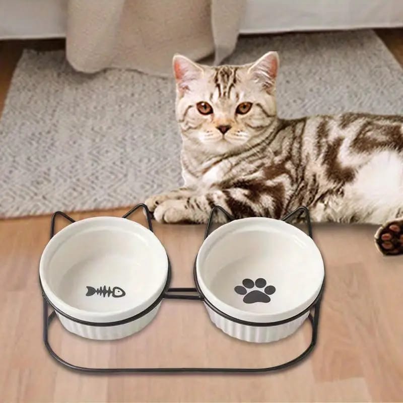 ceramic food & water bowl with stainless stand