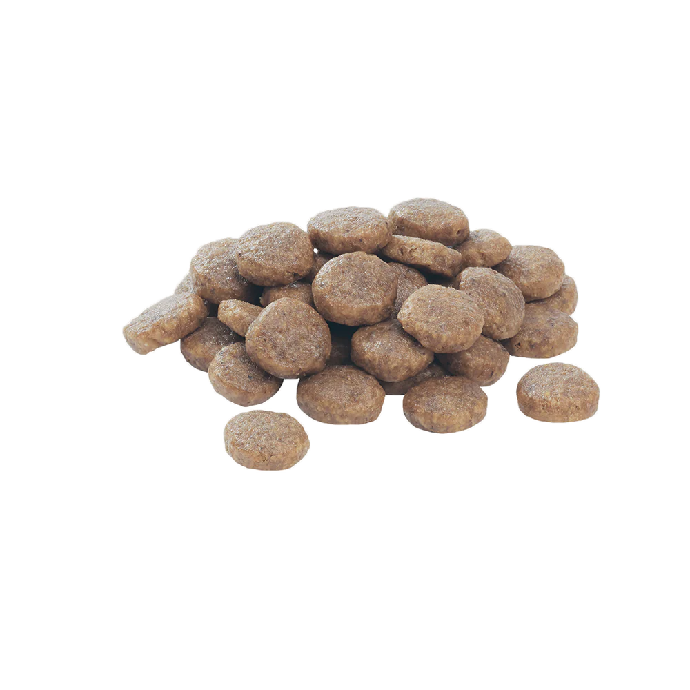 Purina Pro Plan Medium Puppy with Chicken – 12kg