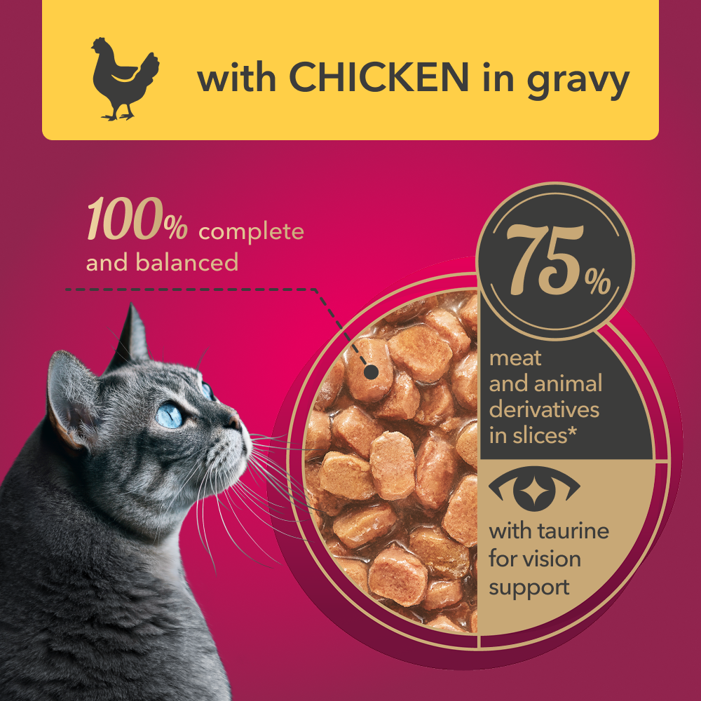 My Love Cat Wet Food Chicken in Gravy - Pouch 85 gm