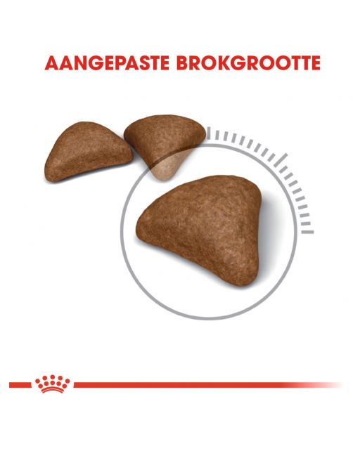 Royal Canin Hairball Care Cat Dry Food 400g