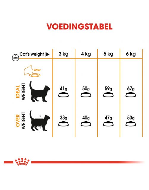 Royal Canin Cat Dry Food Adult Hair & Skin Care – 2kg