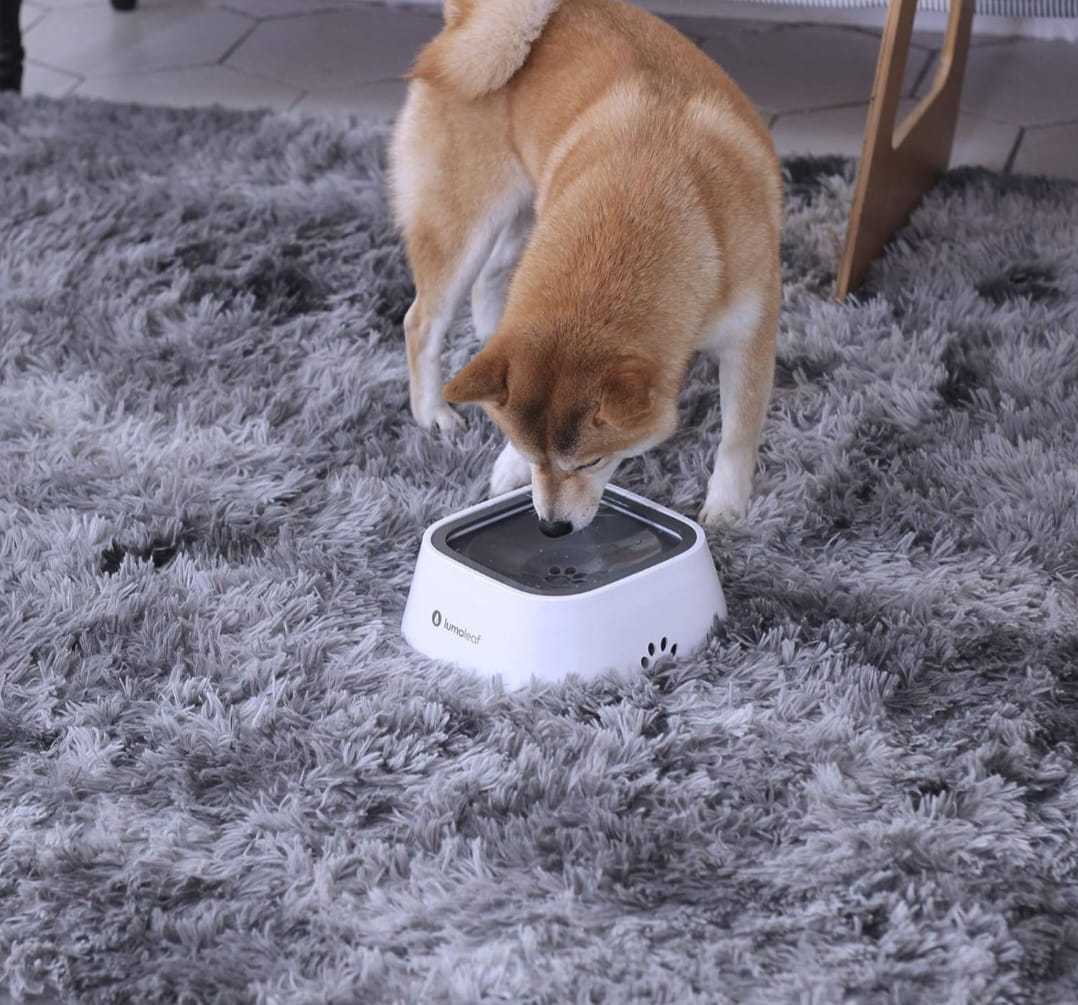 Non Spill Water Bowl