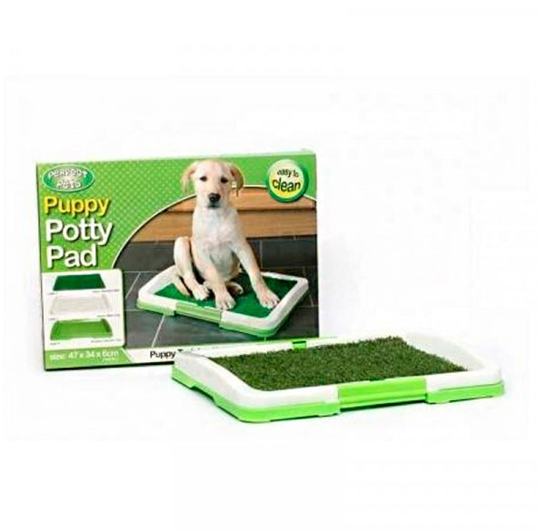 Puppy potty pad training