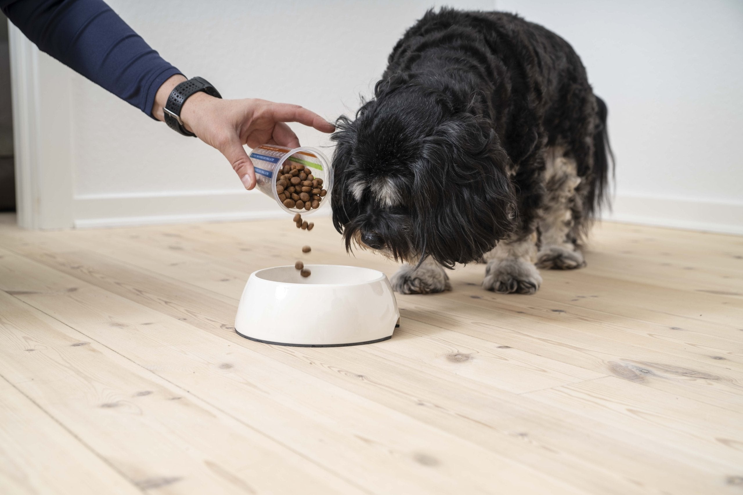 طعام جاف للكلاب من فيرباك، للكلاب البالغة الصغيرة واللعبة - 1.5 كجم