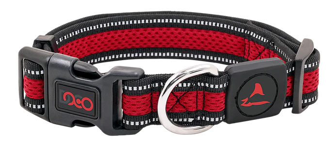DOCO® Athletica Air Dog Collar
