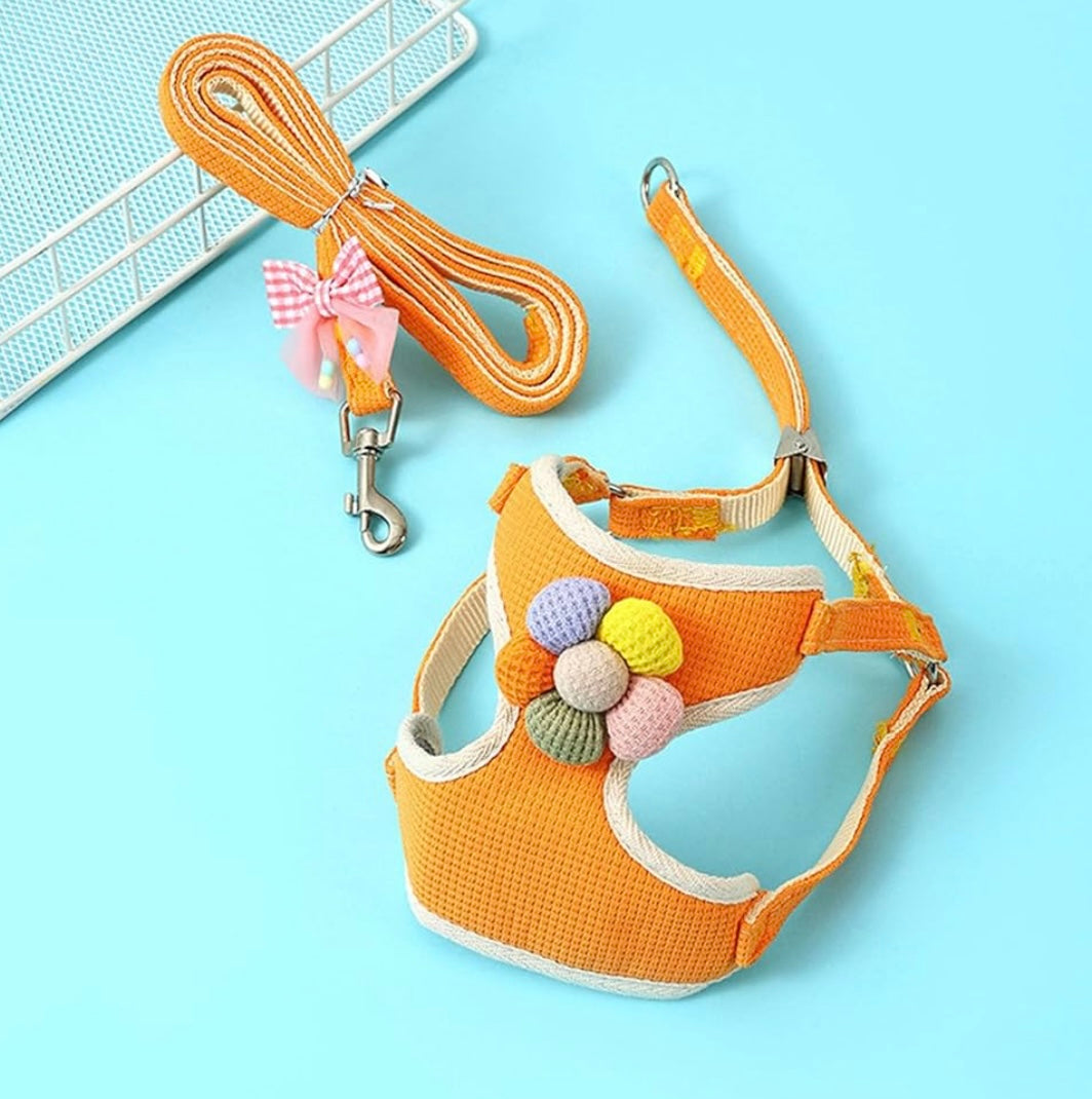 Harness and leash cat & dog