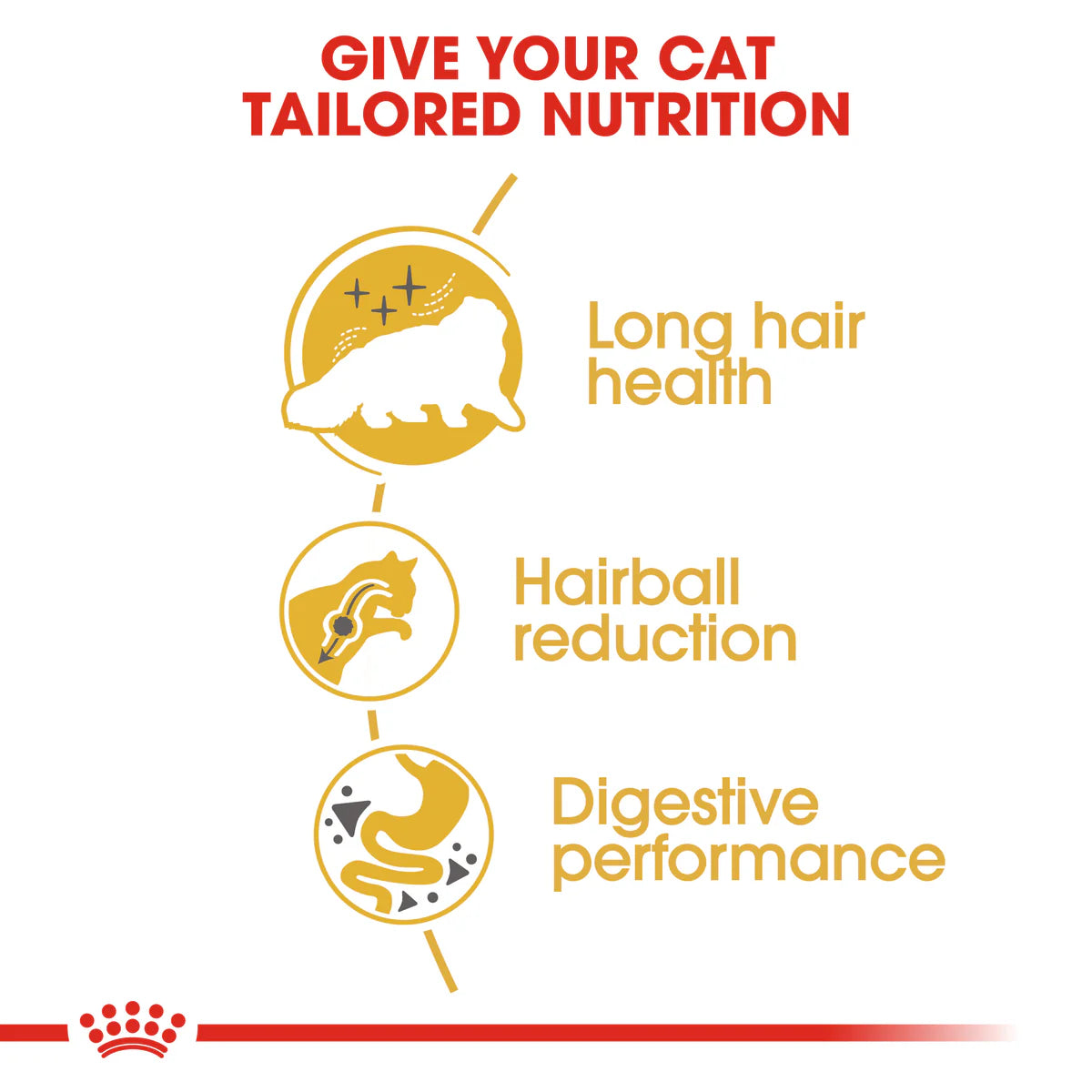 Royal Canin Persian Adult Cat Dry Food 10Kg