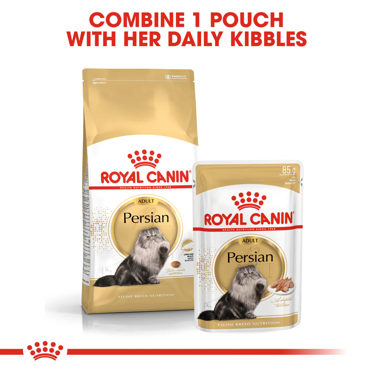 Royal Canin Persian Adult Cat Dry Food 10Kg