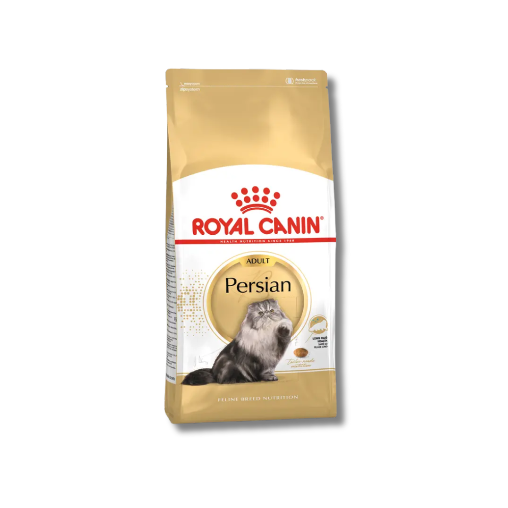 Royal Persian Adult (4k)