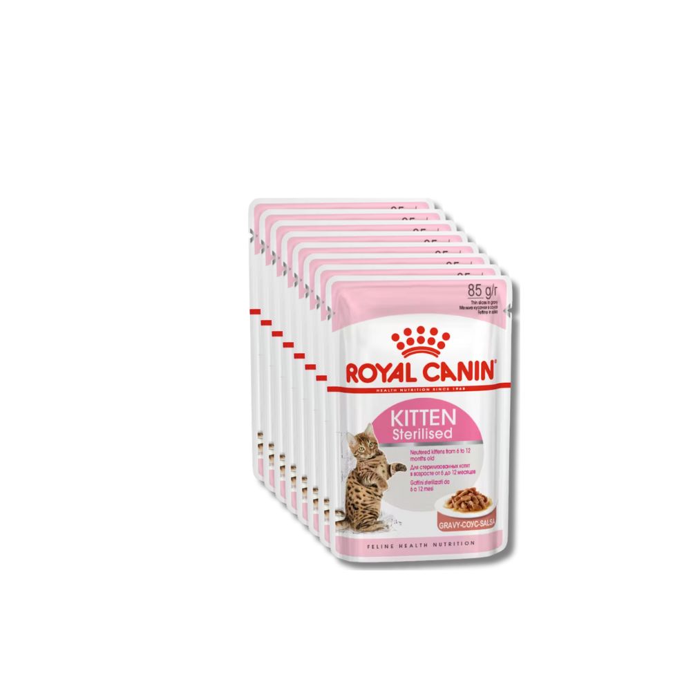 طعام رطب للقطط الصغيرة من رويال كانيني، كيس معقم، 85 جم