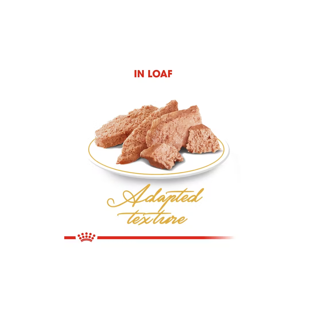 Royal Canin Persian Adult - Complete Wet Cat Food (85g)