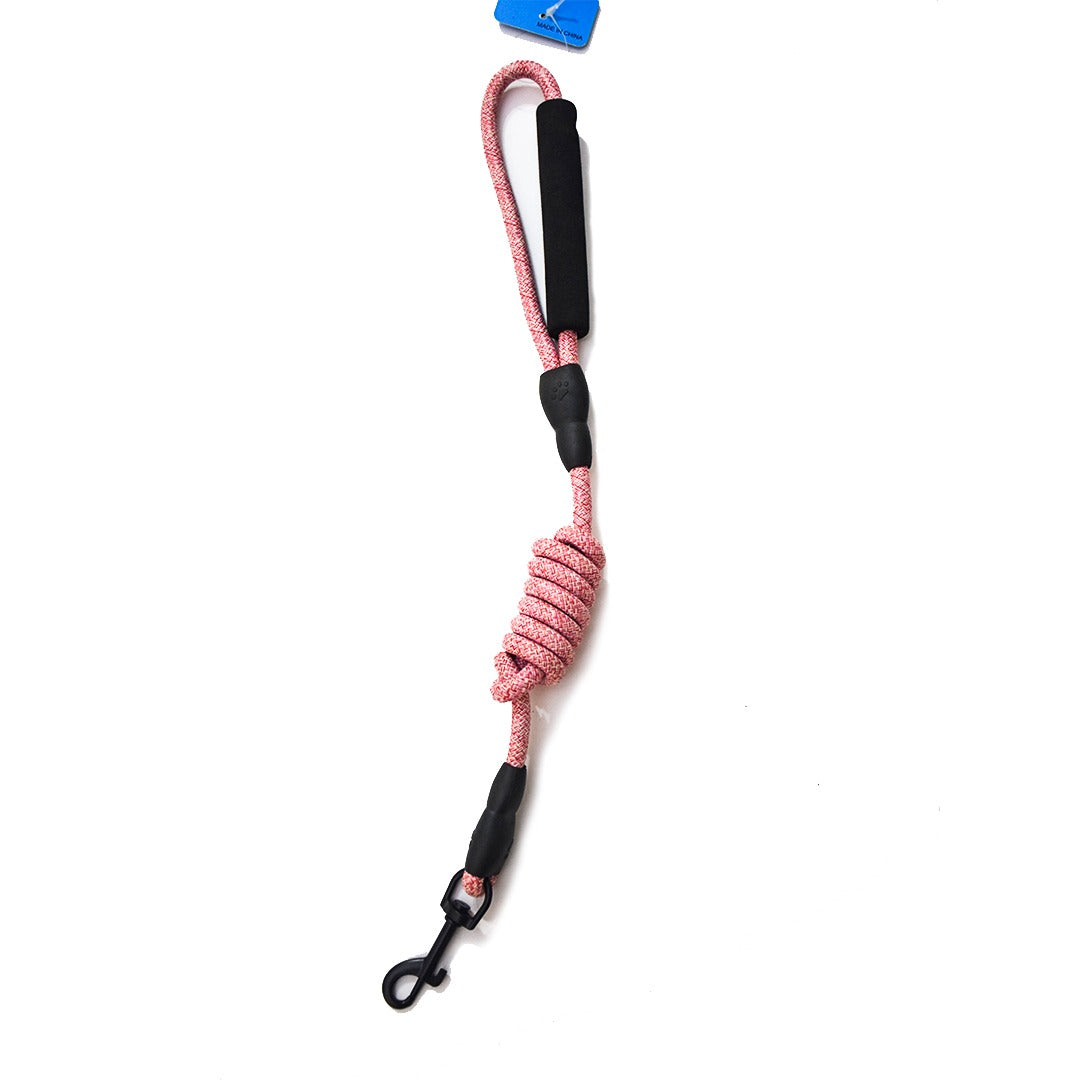 مقود بومي للحيوانات الأليفة