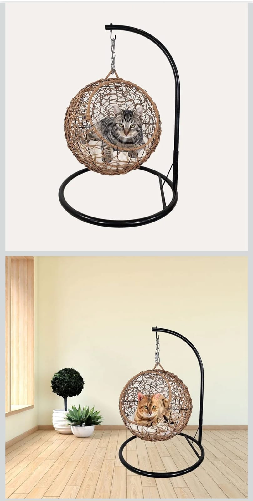 Standing Cat Basket Bed