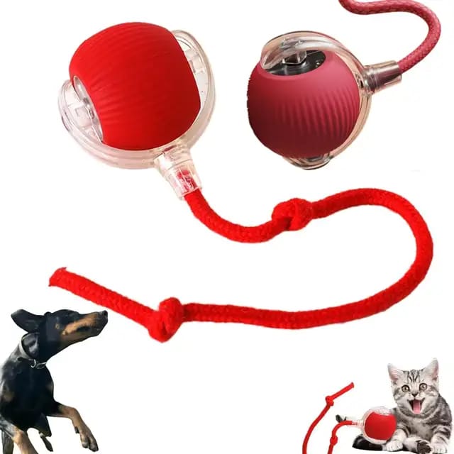 Flashing Ball Cat and dog Toys