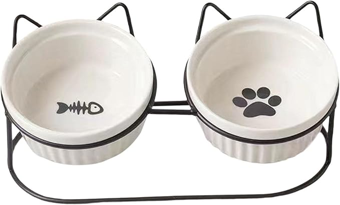 ceramic food & water bowl with stainless stand